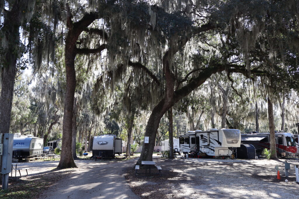 RV sites beneath mature oak trees at Cape Kennedy RV Resort with a shaded, park-like setting on Florida’s Space Coast.